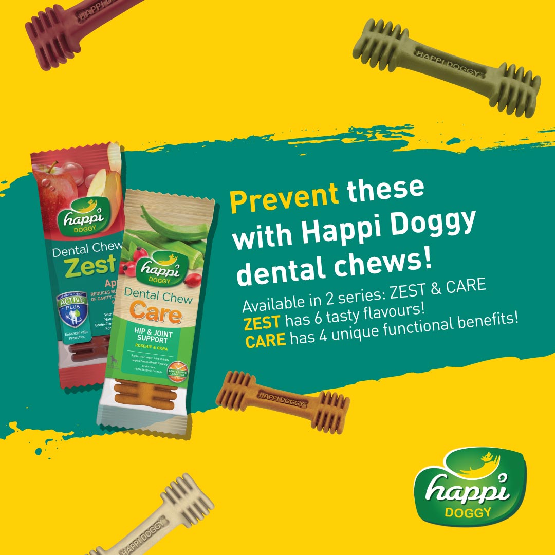 Happi Doggy Dental Chew Care (Hip & Joint Support) Rosehip & Okra - Regular 4 inch - 150 g - 6 Pieces-7
