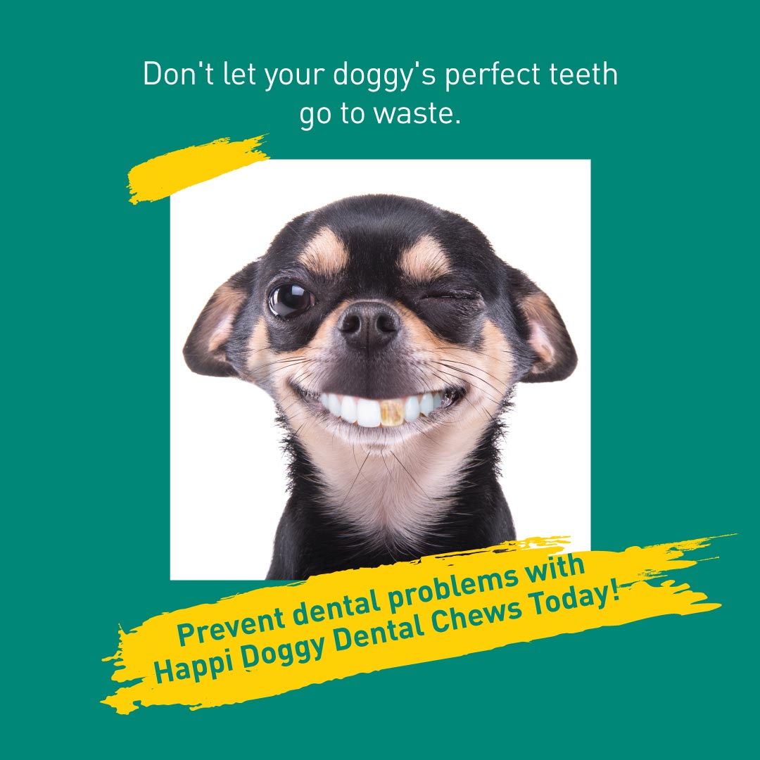 Happi Doggy Dental Chew Care (Hip & Joint Support) Rosehip & Okra - Regular 4 inch - 150 g - 6 Pieces-6
