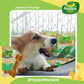 Happi Doggy Vegetarian Dental Chew - Care (Hip & Joint Support) Rosehip & Okra - Petite - 2.5 inch - 150 g - 18 Pieces-7