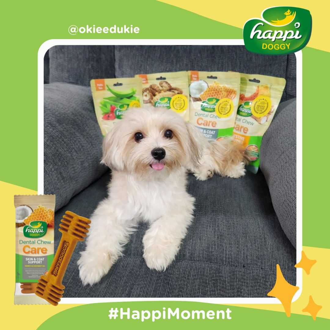 Happi Doggy Dental Chew Care (Skin and Coat) Honey & Coconut Oil - Regular - 4 inch - 150 g - 6 Pieces-8