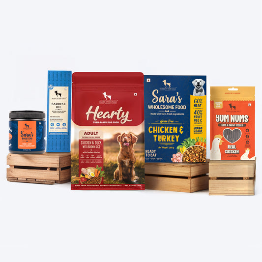 HUFT Agility Stack Combo - Heads Up For Tails