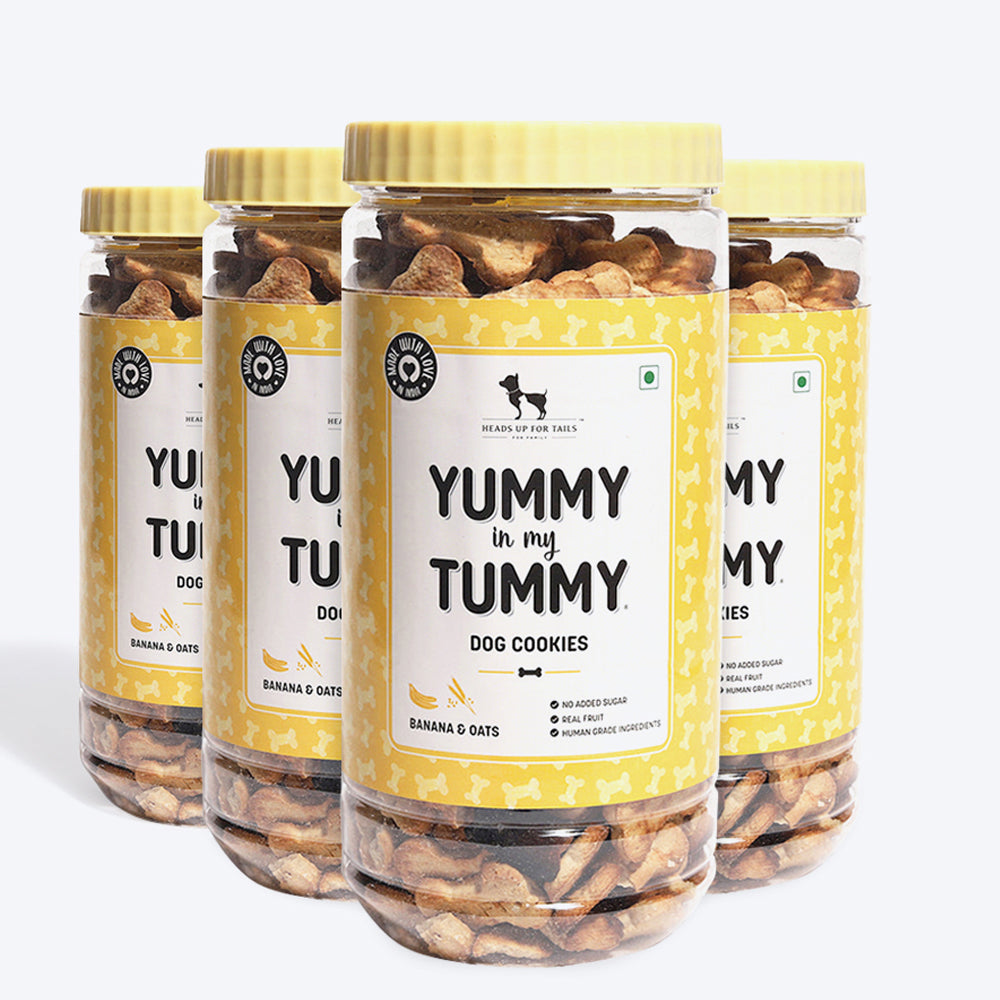 HUFT YIMT Banana & Oats Vegetarian Dog Biscuits - Heads Up For Tails