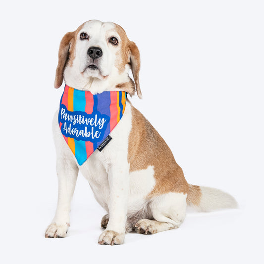 HUFT Pawsitively Adorable Printed Dog Bandana - Multicolour