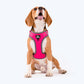 HUFT Active Pet Dog Harness - Magenta Pink