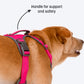 HUFT Active Pet Dog Harness - Magenta Pink_04