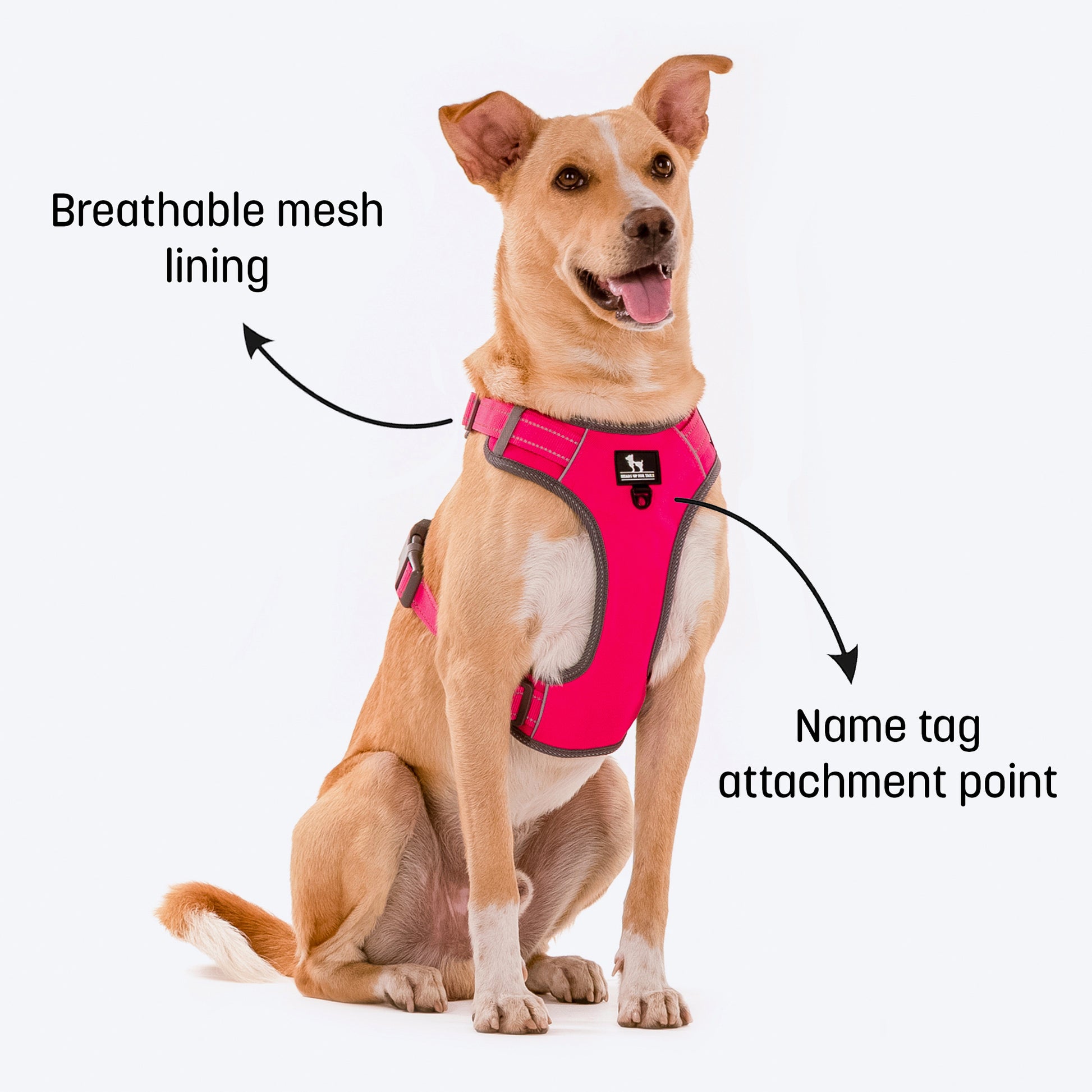 HUFT Active Pet Dog Harness - Magenta Pink_03