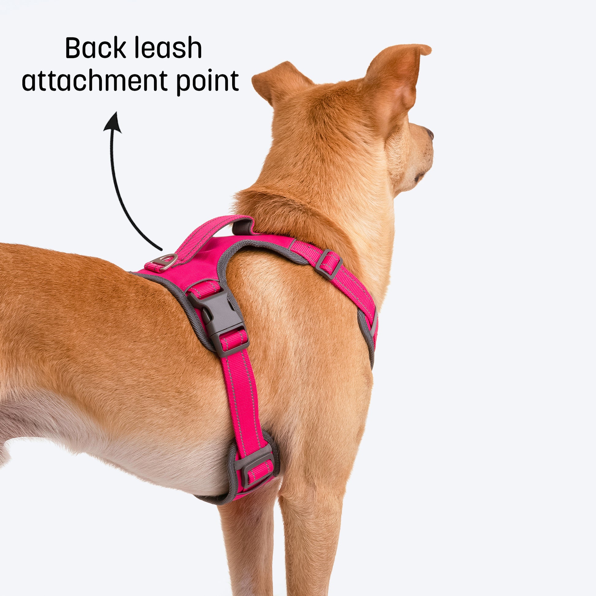 HUFT Active Pet Dog Harness - Magenta Pink_05