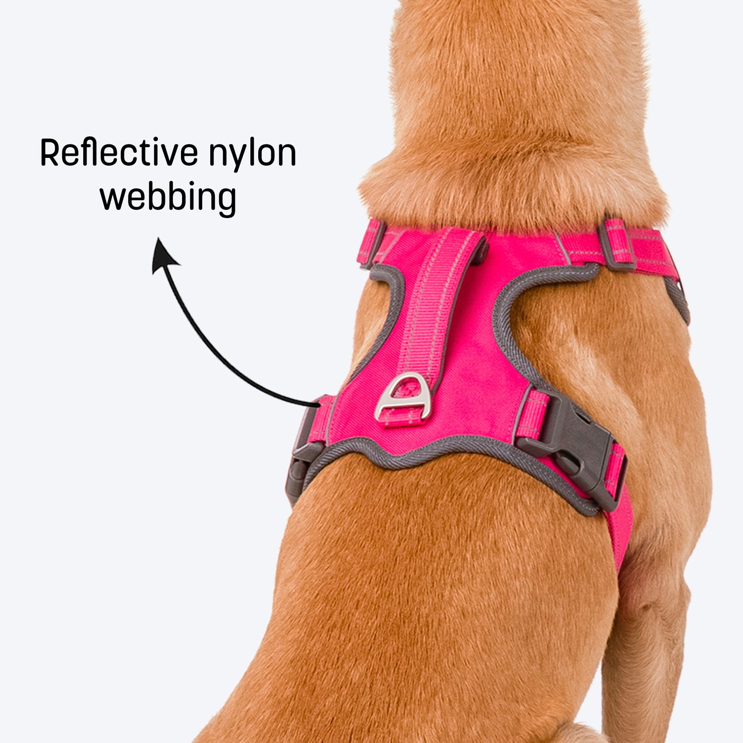 HUFT Active Pet Dog Harness - Magenta Pink_02