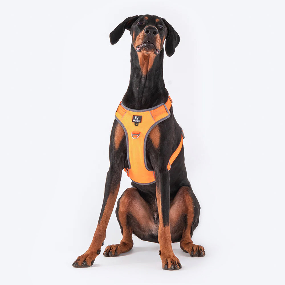 HUFT Active Pet Dog Harness - Orange_01