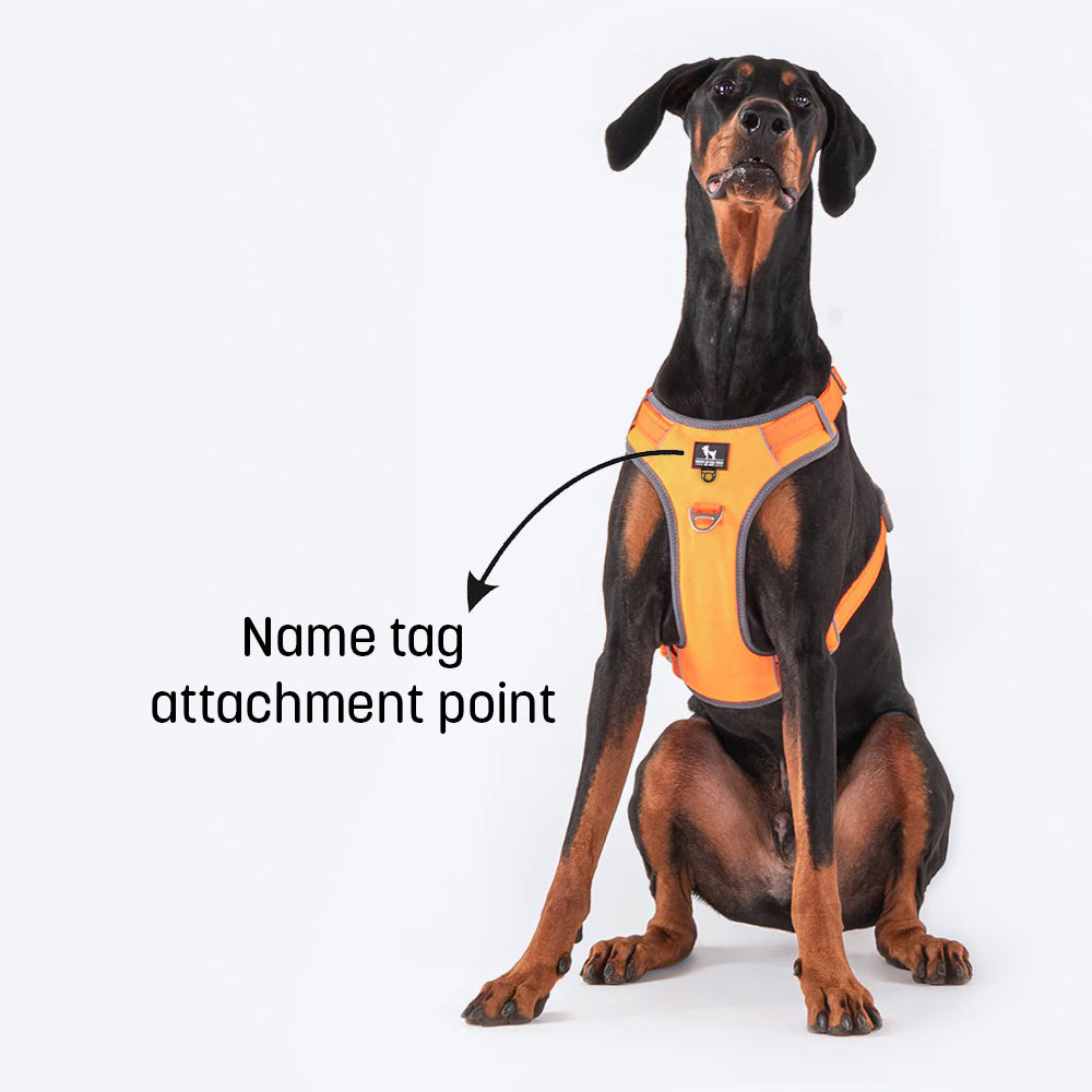 HUFT Active Pet Dog Harness - Orange_15