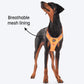HUFT Active Pet Dog Harness - Orange_05