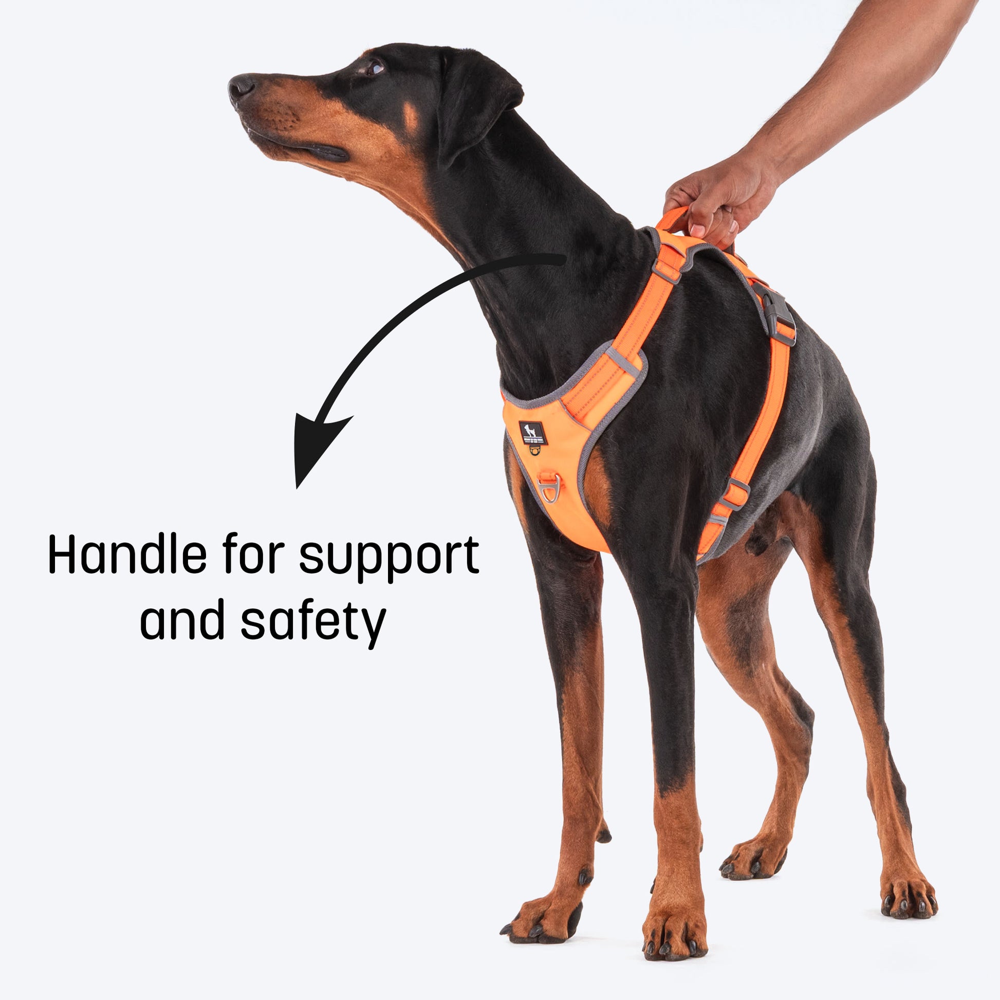 HUFT Active Pet Dog Harness - Orange_03