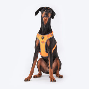 HUFT Active Pet Dog Harness - Orange - Heads Up For Tails