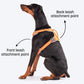 HUFT Active Pet Dog Harness - Orange_02