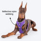 HUFT Active Pet Dog Harness - Purple_04
