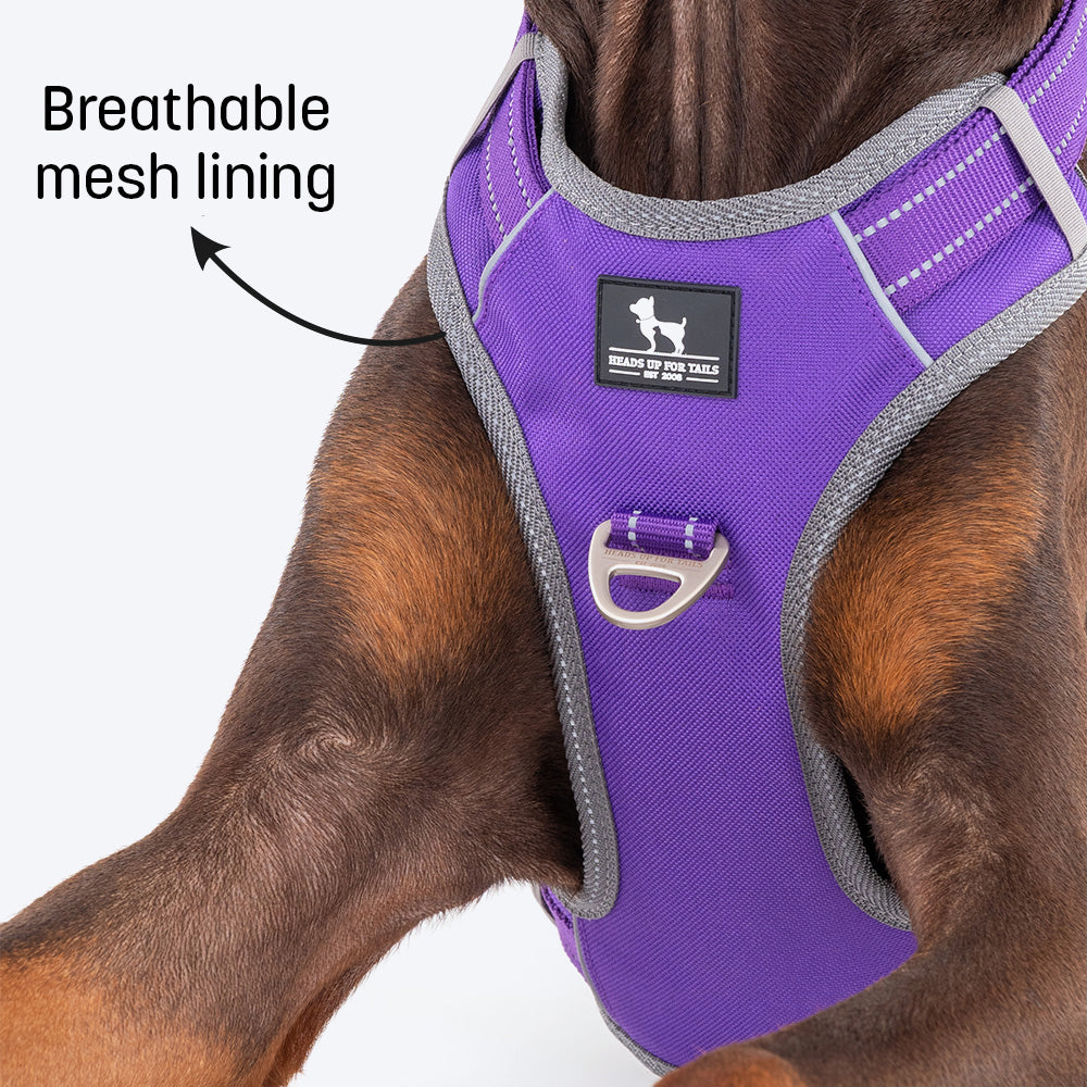 HUFT Active Pet Dog Harness - Purple_02