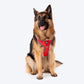 HUFT Active Pet Dog Harness - Red_01