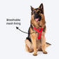 HUFT Active Pet Dog Harness - Red_02