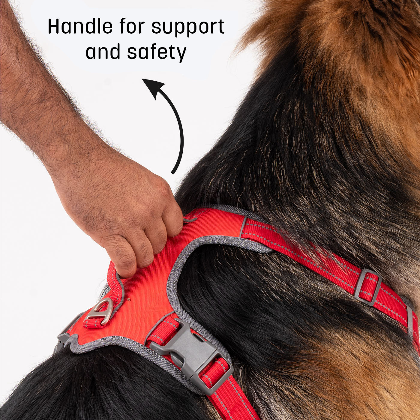 HUFT Active Pet Dog Harness - Red_03