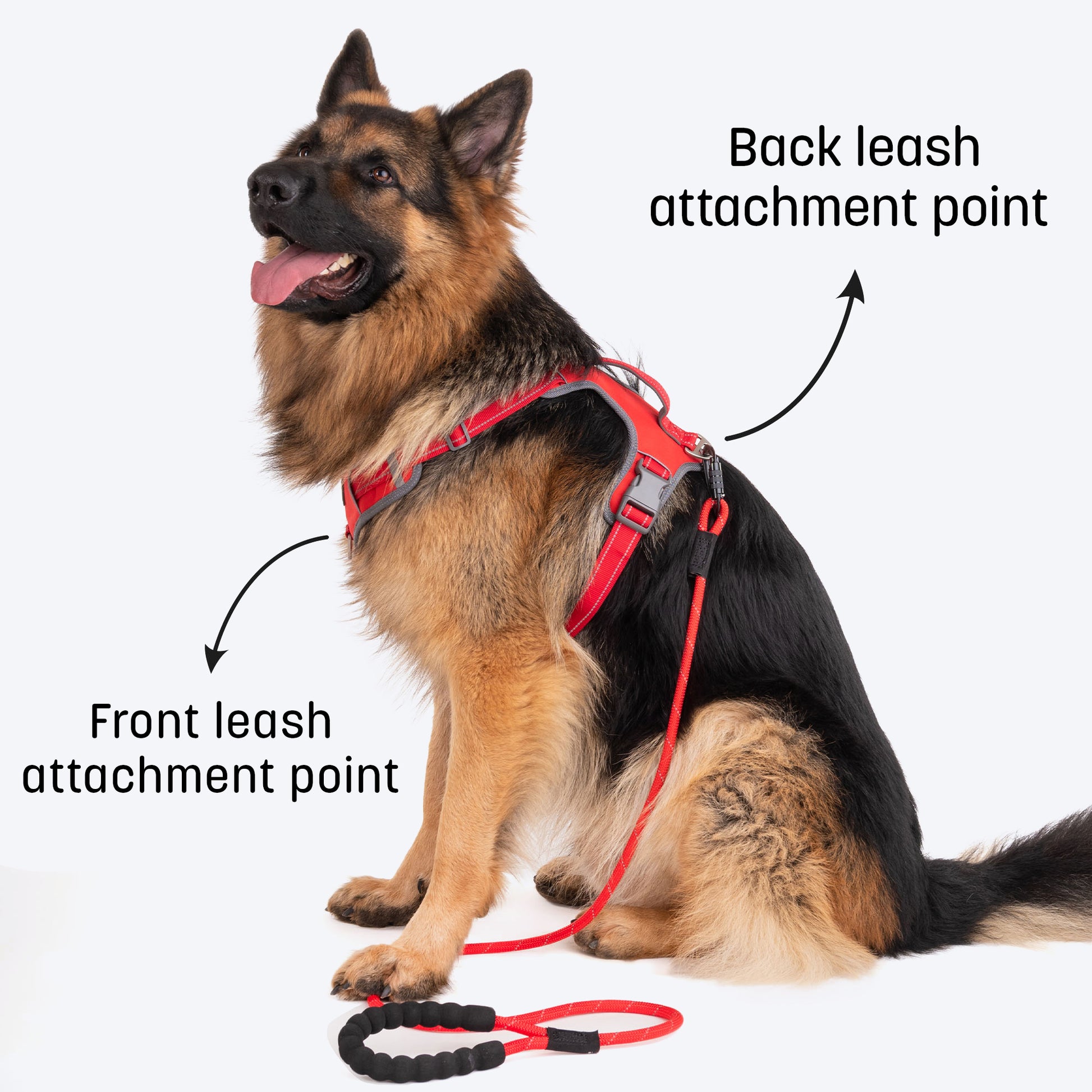 HUFT Active Pet Dog Harness - Red_05