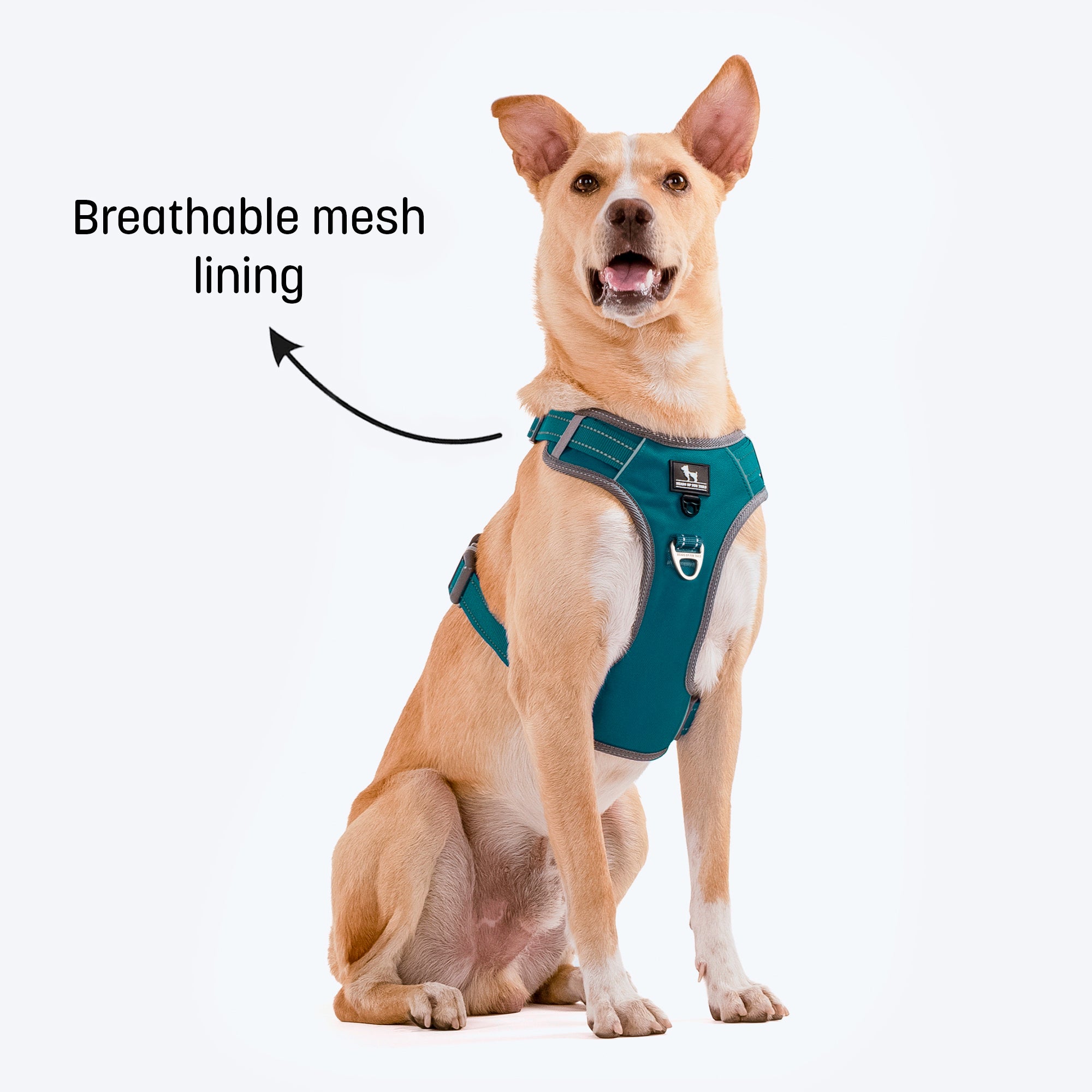 Buy HUFT Active Pet Dog Harness Teal Blue Heads Up For Tails