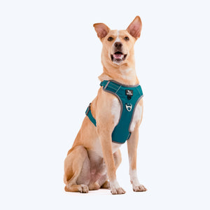 HUFT Active Pet Dog Harness - Teal Blue - Heads Up For Tails