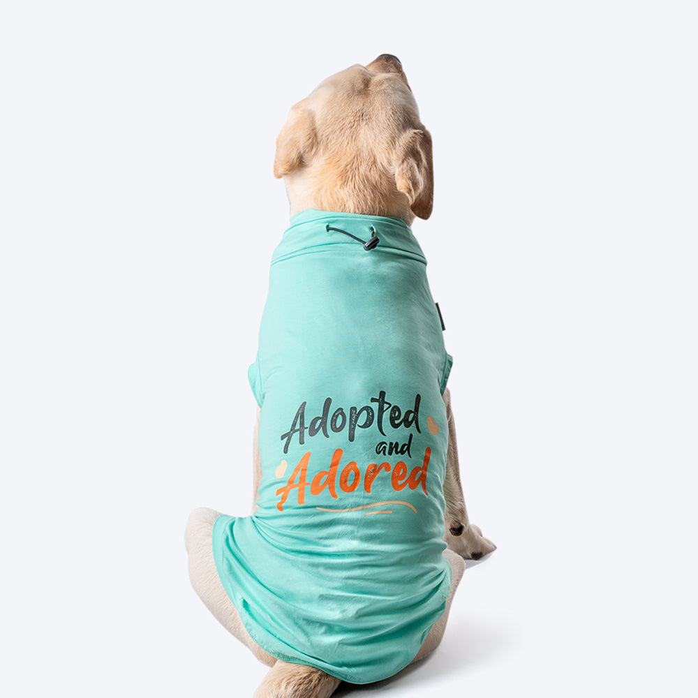 HUFT Adopted And Adored T-shirt For Dog - Light Blue