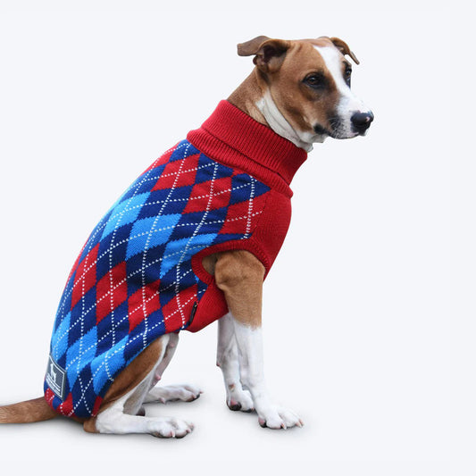 HUFT Argyle Dog Sweater