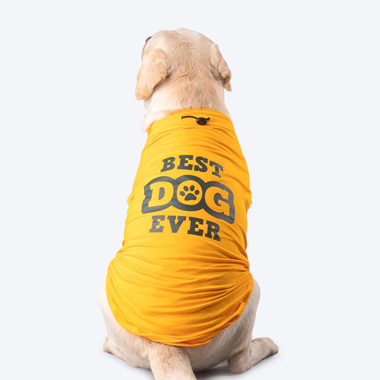 HUFT Best Dog Ever T-Shirt For Dog - Yellow