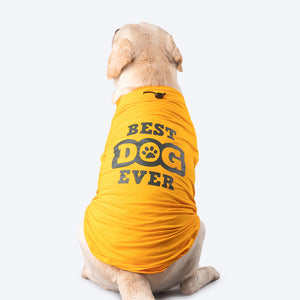 HUFT Best Dog Ever T-Shirt For Dog - Yellow - Heads Up For Tails
