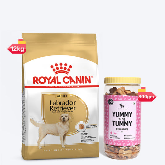 Royal Canin Labrador Retriever Dry Food & YIMT Apple & Banana Biscuits For Adult Dogs - Heads Up For Tails