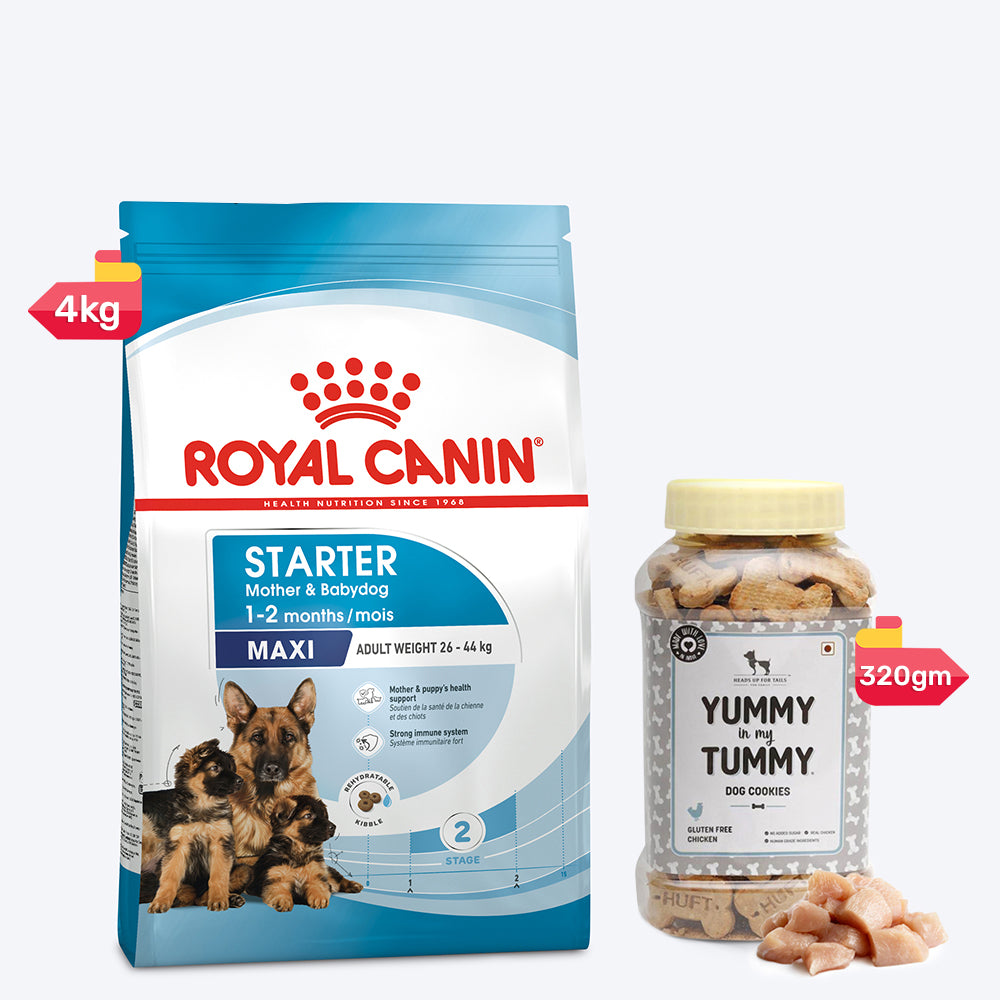 Royal Canin Maxi Starter Dry Food & YIMT Real Chicken Biscuits For Puppy