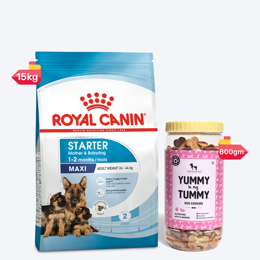 Royal Canin Maxi Starter Dry Food & YIMT Apple & Banana Biscuits For Puppy - Heads Up For Tails