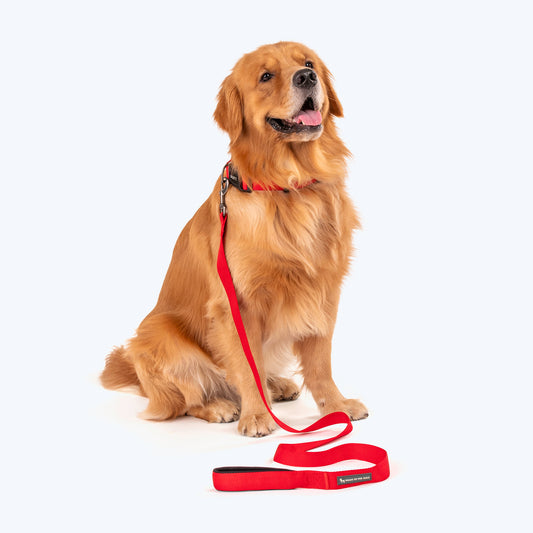 HUFT Basics Dog Collar & Leash Set - Crimson Red