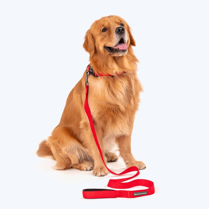 HUFT Basics Dog Collar & Leash Set - Crimson Red - Heads Up For Tails