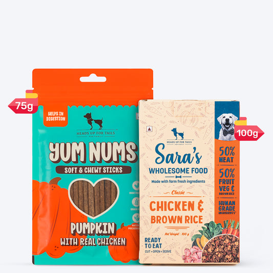 HUFT Wholesome Chicken, Brown Rice Food & Yum Nums Pumpkin Treats Combo For Dog