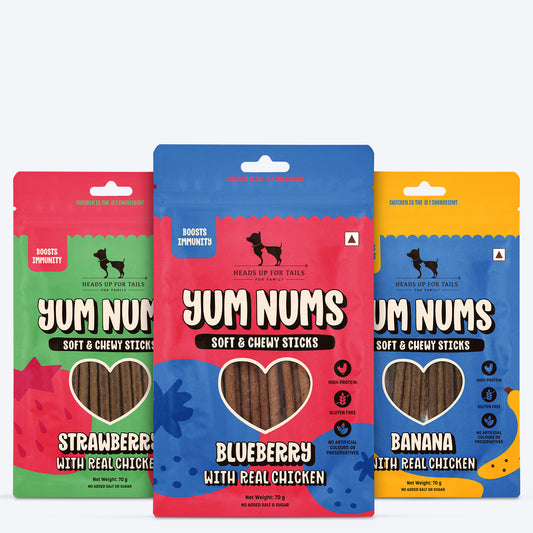 HUFT Yum Nums : Real Chicken & Fruity Soft Sticks Treat Combo For Dogs - 225 gm (Each 75 gm)