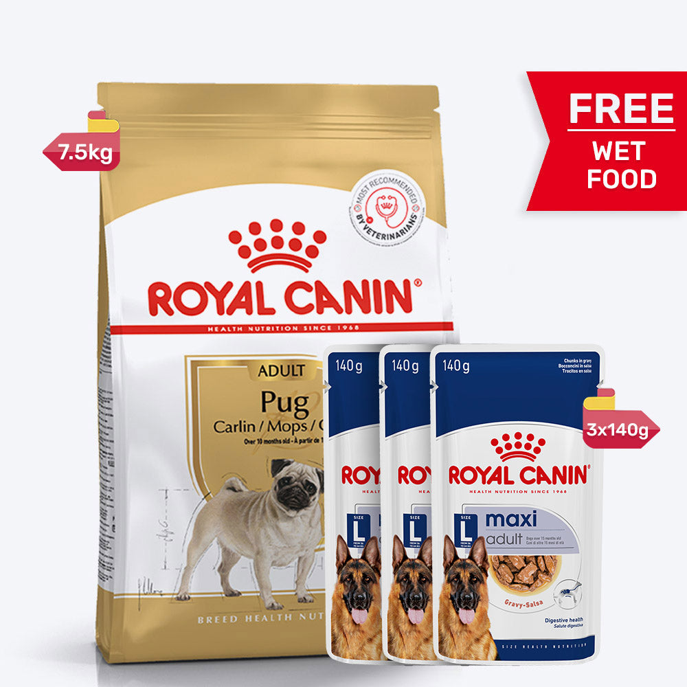 Royal Canin Pug Adult Dry Dog Food