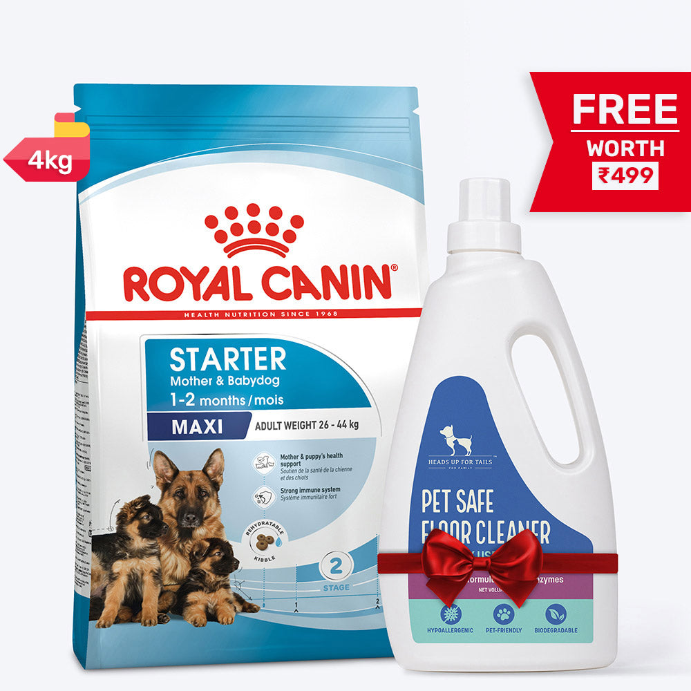 Royal Canin Maxi Starter Dry Dog Food