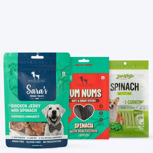 HUFT Popeye's Picks - Power - Packed Spinach Treats Combo