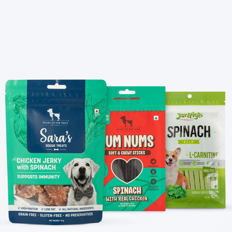HUFT Popeye's Picks - Power - Packed Spinach Treats Combo