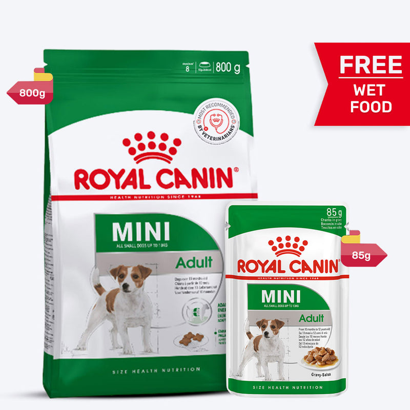 Royal Canin Mini Adult Dry Dog Food