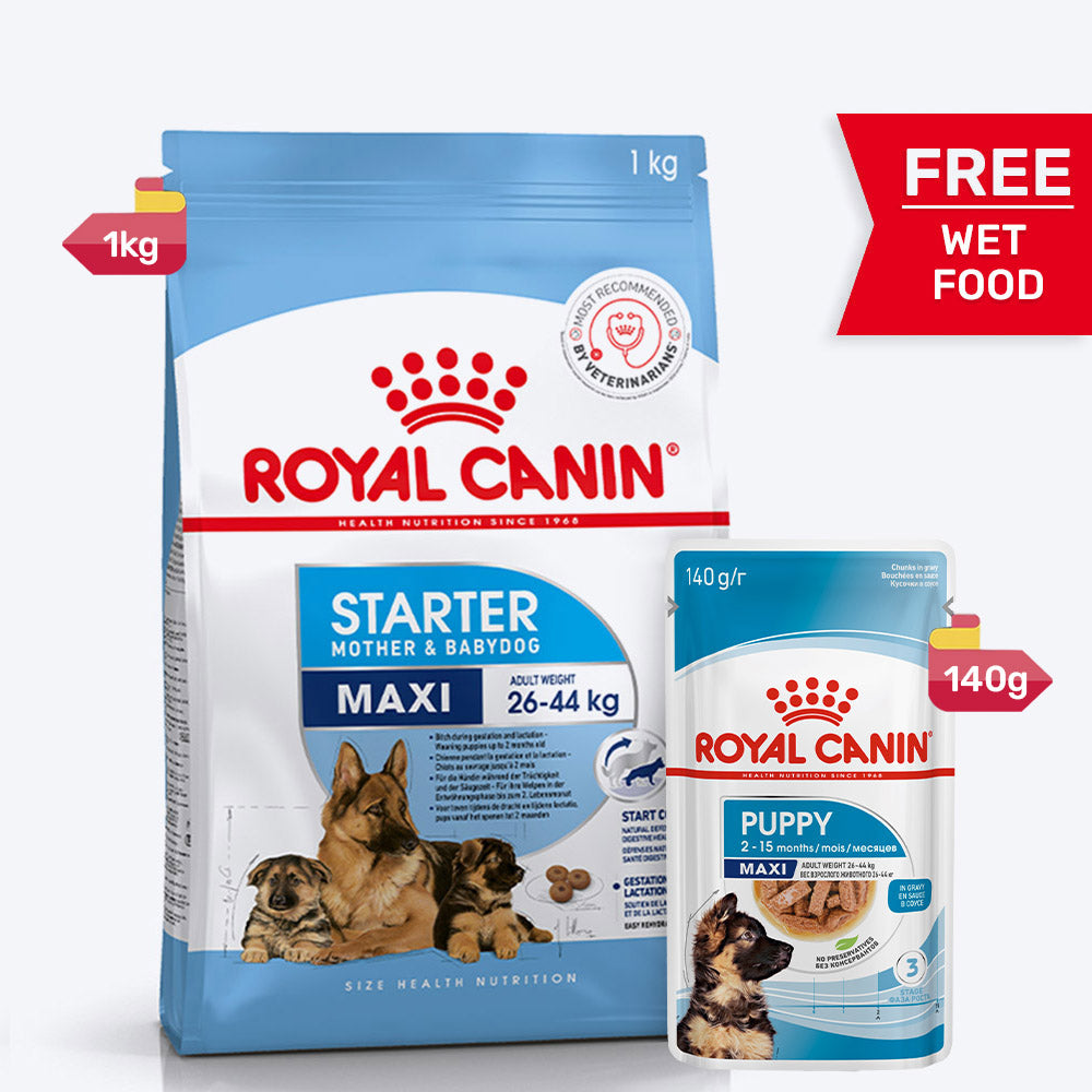 Royal Canin Maxi Starter Dry Dog Food