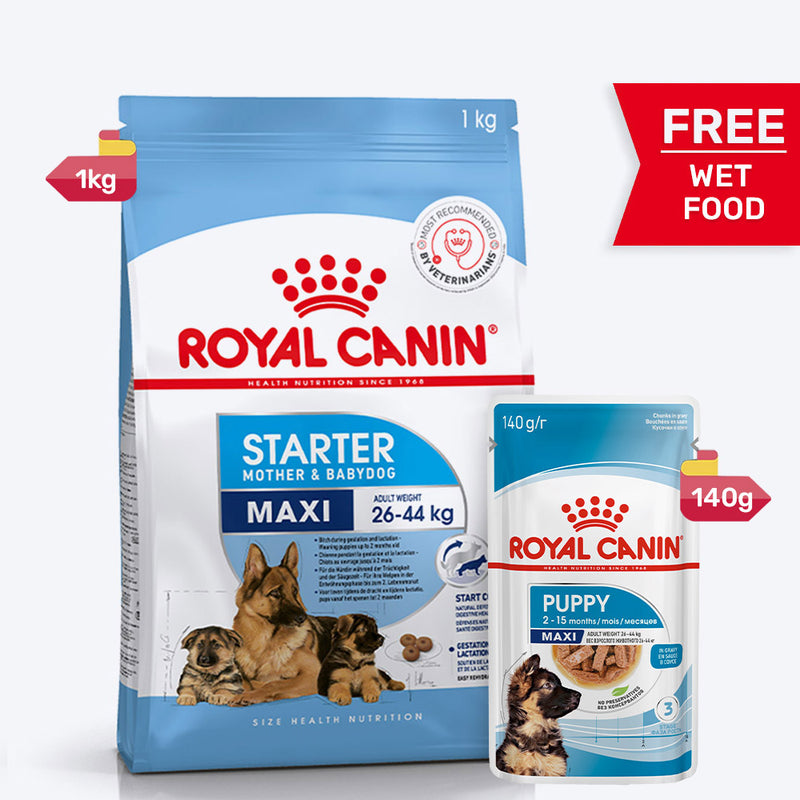 Royal Canin Maxi Starter Dry Dog Food