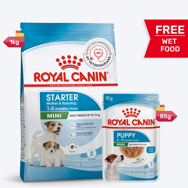 Royal Canin Mini Starter Mother & Puppy Dry Food