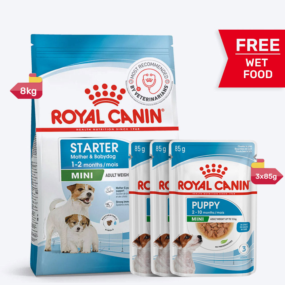 Royal Canin Mini Starter Mother & Puppy Dry Food