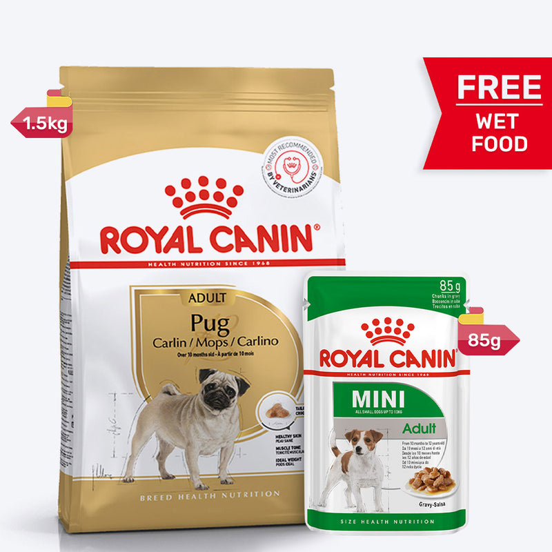 Royal Canin Pug Adult Dry Dog Food