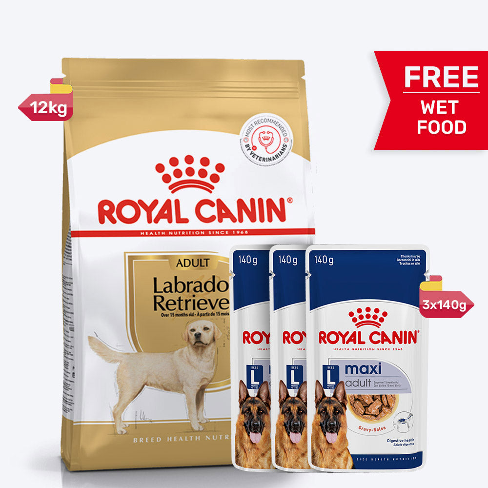 Royal Canin Labrador Retriever Adult Dry Dog Food