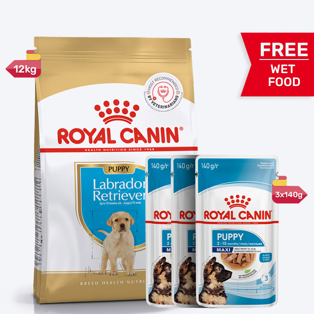 Royal Canin Labrador Retriever Puppy Dry Dog Food