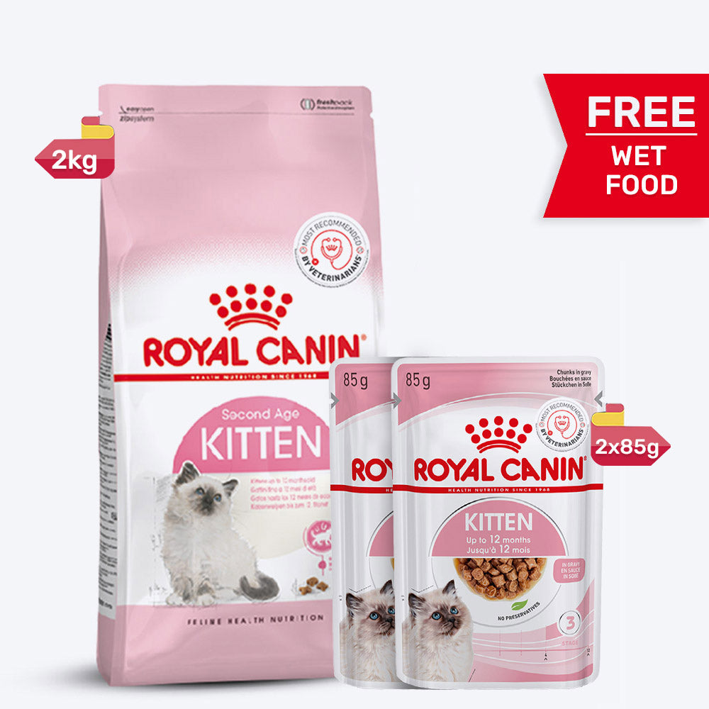 Royal Canin Kitten Dry Cat Food
